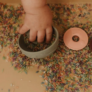 Sensory Bases