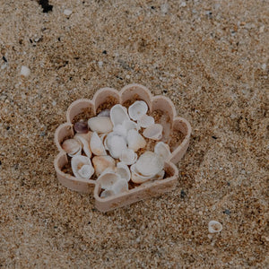 Seashell Eco Mould