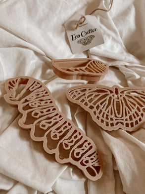 Butterfly Life Cycle Eco Cutter