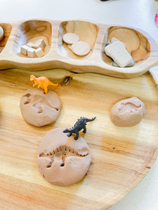 Dinosaur Playdough Kit
