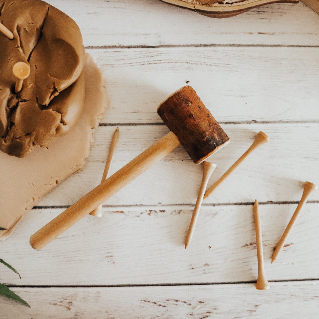 Set 10 Wooden Nails